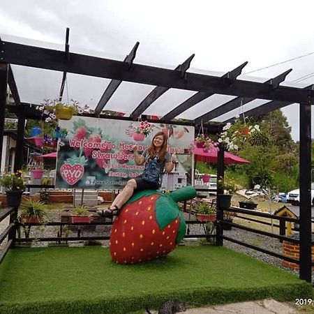 Kampong Kundassan Berries Residence מראה חיצוני תמונה